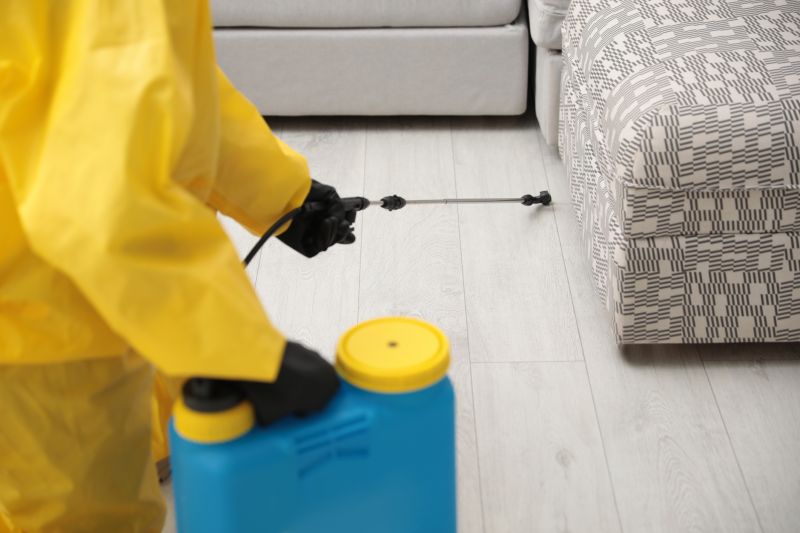 Ant Pest Control Methods That Target Colonies At The Source