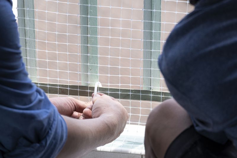 Bird Netting Service