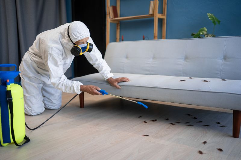 How Roaches Enter Buildings And Spread Quickly