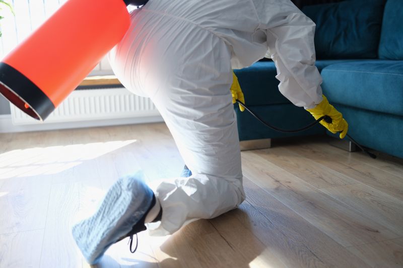 Seasonal Ant Activity And When To Schedule Pest Control Service