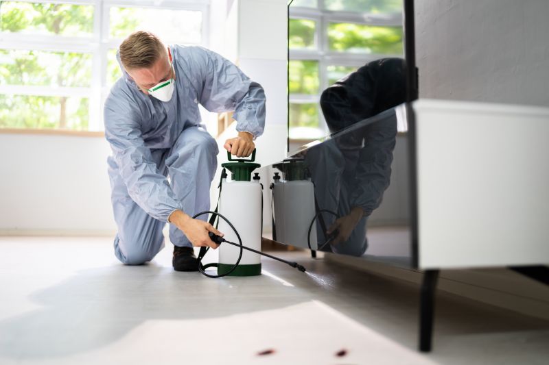 Seasonal Ant Activity And When To Schedule Pest Control Service